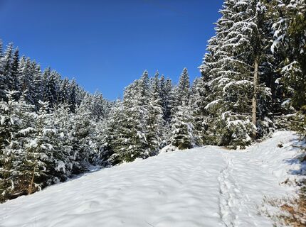 Fotografia z Franz Russ na trase