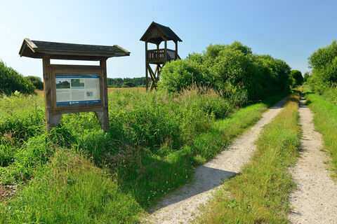 Zemljevid