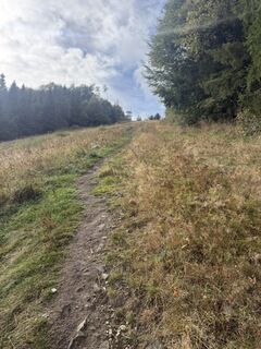 Foto de Reischlová J. Martina a lo largo del recorrido