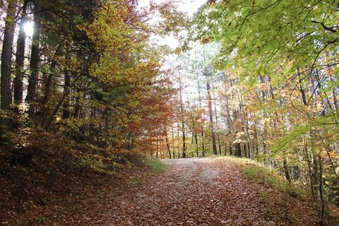 Steigung vom Wasserburgertalweg zum Birkenloh