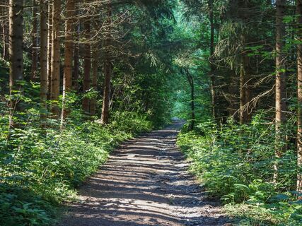 Ritter-Waldauf-Runde