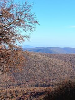 Photo de Julika Jármer le long du parcours