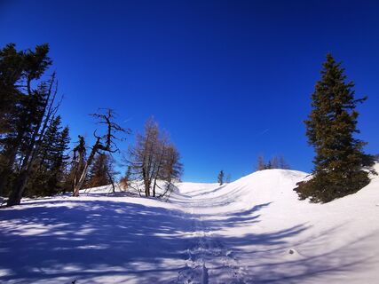 Fotografia z Reinsperger na trase