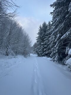Foto von Toni entlang der Tour