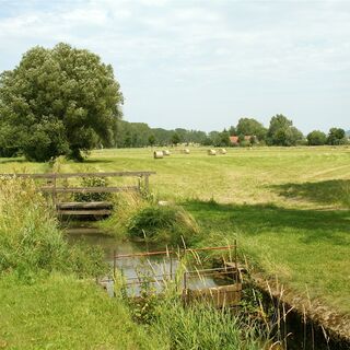 Das Grabfeld bei Ipthausen ist landschaftlich sehr reizvoll.