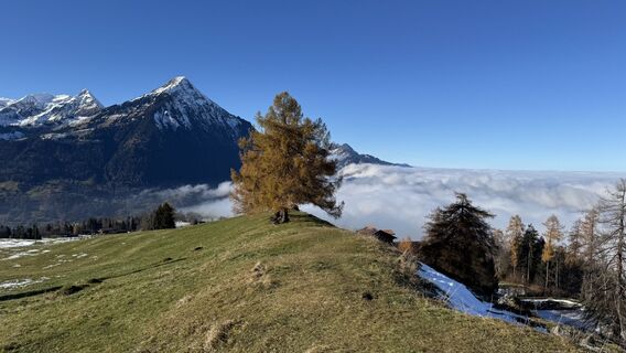 Foto von peter_oe entlang der Tour