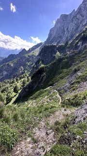 Foto von Mountain Cat ? ⛰️ entlang der Tour