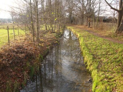 Döllnitzaue in Mügeln