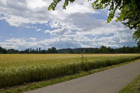 Auf dem Bodenseeradweg