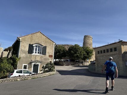 Zdjęcie z Grizzli wzdłuż trasy