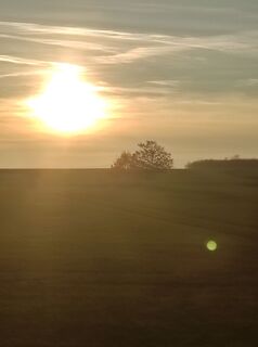 Fotografija s spletne strani Làszló Visi na poti