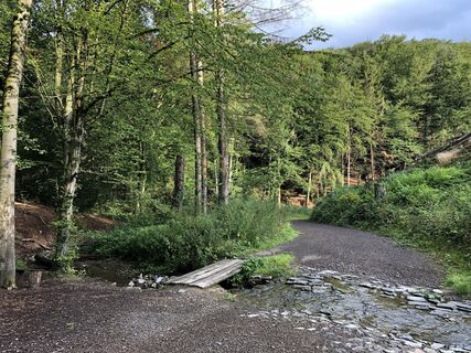 im Scherfbachtal