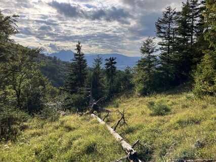 Foto von Meinrad Föger entlang der Tour