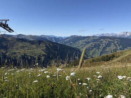 Photo from Daniella De Wolde along the tour