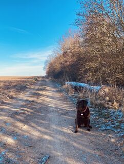 Foto von Jens Baumann 1 entlang der Tour