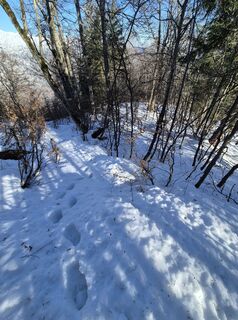Photo de Puchi89 le long du parcours