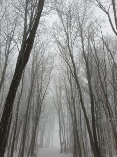 Foto de Georg B. Meier a lo largo del recorrido