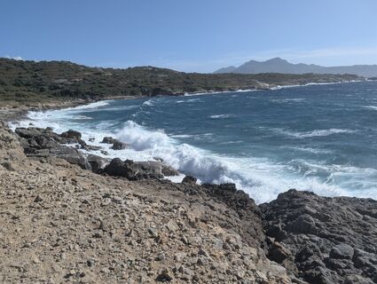 Fotografija s spletne strani BettiKreibiehl na poti