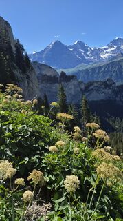 Foto von Andreas Wagner 12 entlang der Tour
