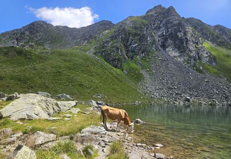 Obstansersee, Kartitsch/Tirol