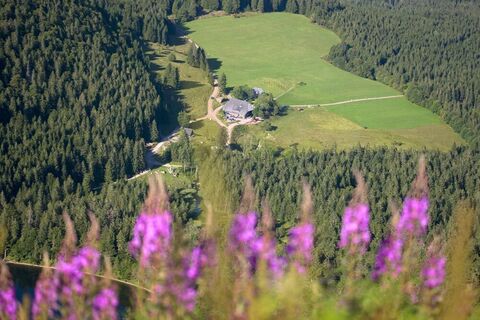 Feldberg