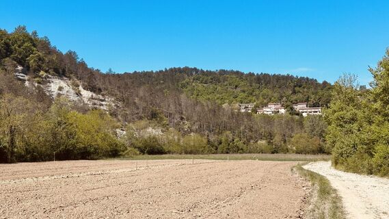 Photo de Edvard le long du parcours