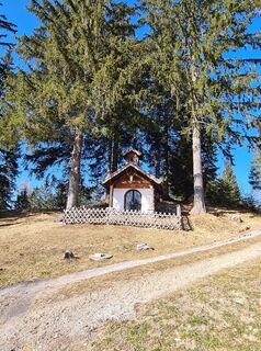 Fotografia z Moro na trase