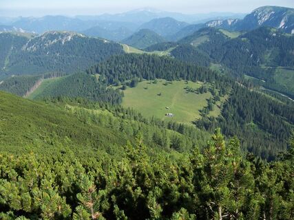 Blick vom Wildkamm zum Niederalpl Sohlenalm