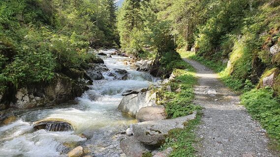 Fotografia z Gerrit van der Linde na trase