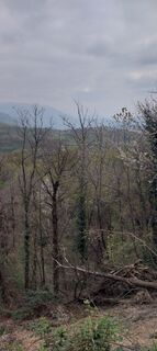 Fotografia z Enrico Carnati na trase