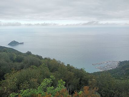 Fotografija s spletne strani simone ravasi na poti