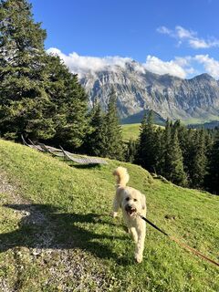 Foto de Marleen Blomsma a lo largo del recorrido