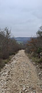 Fotografia z Davor  Umag City Croatia.?? na trase