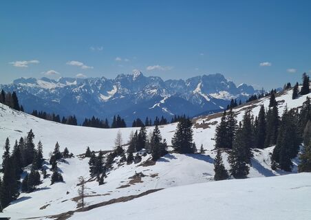 Foto von Friedrich entlang der Tour