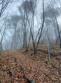 Fotografia z Daniele Spezia na trase