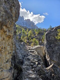 Fotografia z armin hoelzl na trase