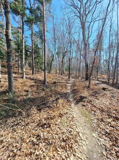 Fotografia z Barbara Ballmüller na trase