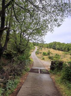 Foto von Waltraud Pölzl entlang der Tour