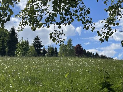 Foto von Olaf Mönig entlang der Tour