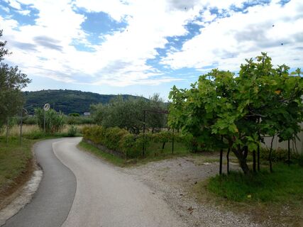 Fotografia z Tamás Kiss (Mr. Mojo) na trase