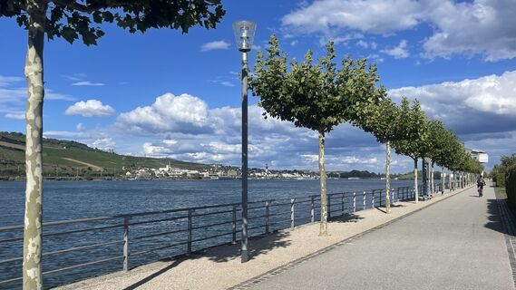 Fotografija s spletne strani Lis Malzach na poti