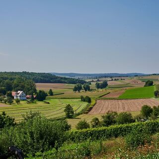 Sommer_Oberderdingen