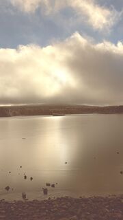 Fotografija s spletne strani Richard Vlcek na poti