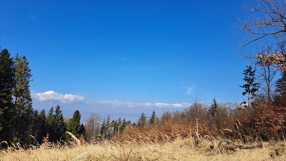 Photo de Anita Lunzer 1 le long du parcours