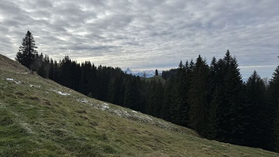 Foto von peter_oe entlang der Tour