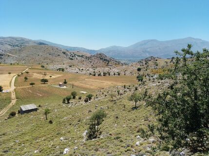 Photo de MopsBiene le long du parcours