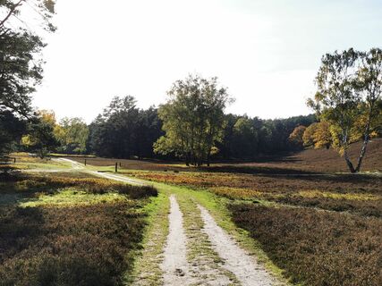 Fotografija s spletne strani OzrO na poti