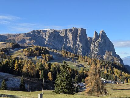 Foto von Michaela Köhler entlang der Tour
