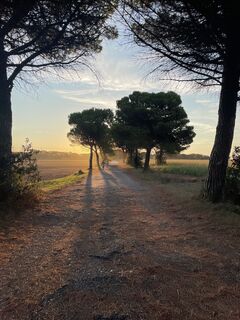 Fotografia z Alberto Ghiretti na trase