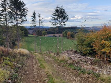 Zdjęcie z DevilsBastard wzdłuż trasy
